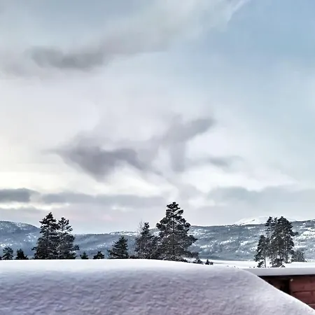 In Norwegen Holiday home Vradal
