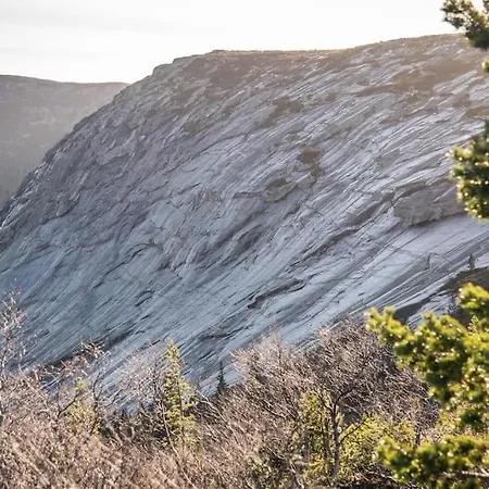 In Mit Sauna, Fusslaeufig Zum Zentrum Vrådal
