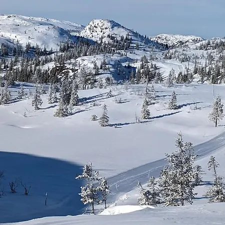 In Mit Sauna, Fusslaeufig Zum Zentrum Tatil Evi *