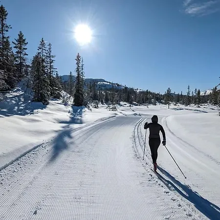 In Mit Sauna, Fusslaeufig Zum Zentrum Tatil Evi *