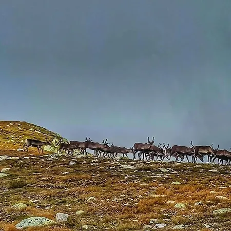 In Norwegen Holiday home *