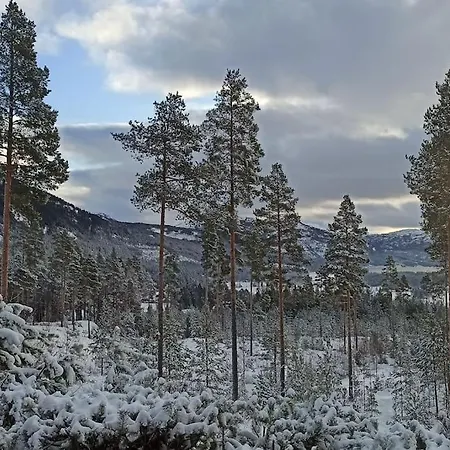 Dom wakacyjny In Mit Sauna, Fusslaeufig Zum Zentrum Vrådal