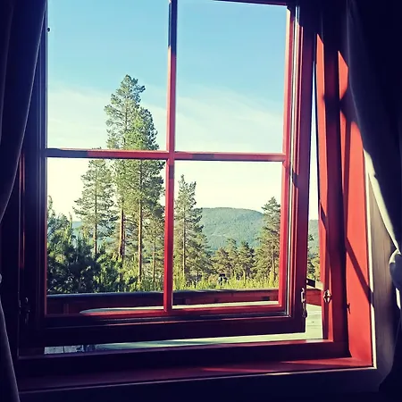 In Mit Sauna, Fusslaeufig Zum Zentrum