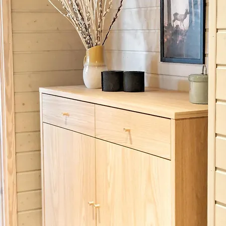 In Mit Sauna, Fusslaeufig Zum Zentrum Tatil Evi Vrådal