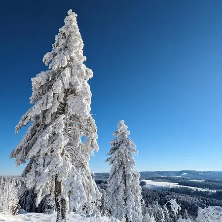 In Mit Sauna, Fusslaeufig Zum Zentrum Tatil Evi