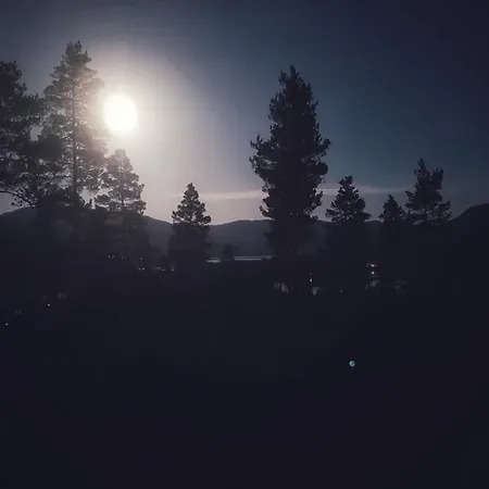 In Mit Sauna, Fusslaeufig Zum Zentrum