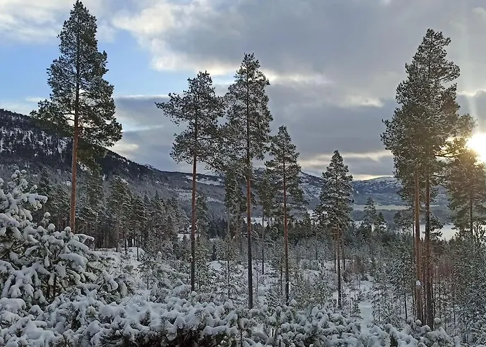 Feriehus In Mit Sauna, Fusslaeufig Zum Zentrum Vrådal