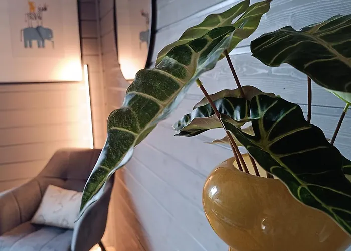 Holiday home In Mit Sauna, Fusslaeufig Zum Zentrum